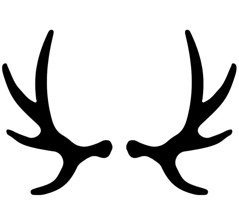 Antlers 1