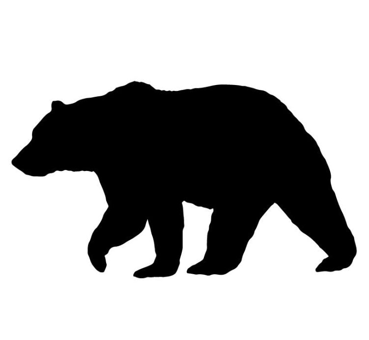 Bear 1