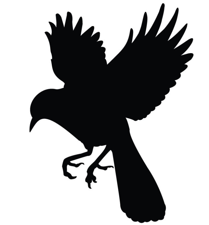 Bird 1