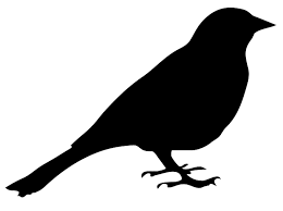 Bird 2