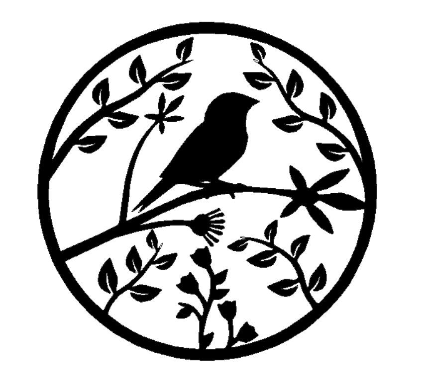 Bird 4