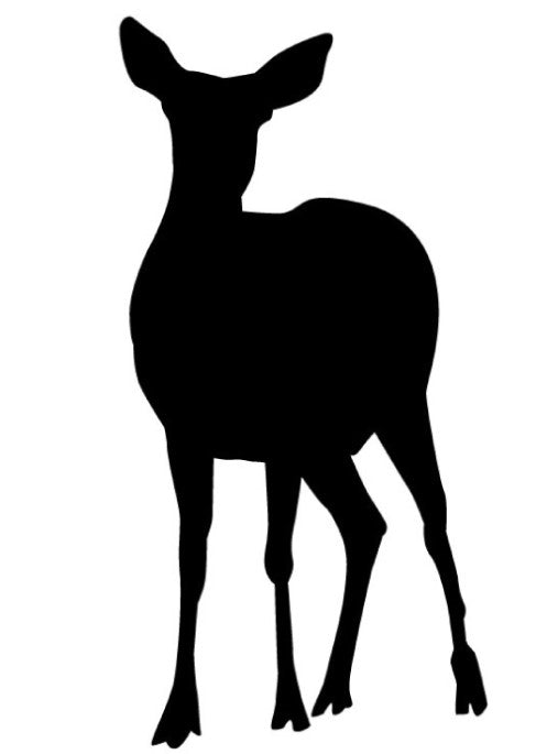 Deer 2