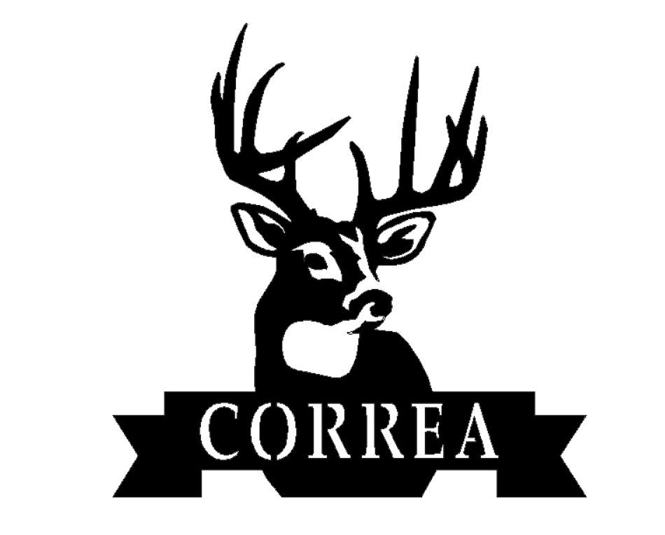 Custom Deer