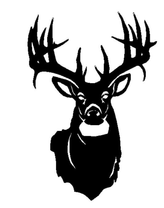 Deer 8