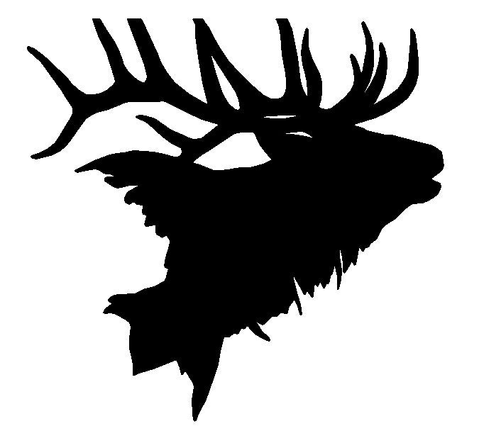 ELK 2