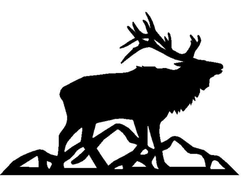 ELK 5