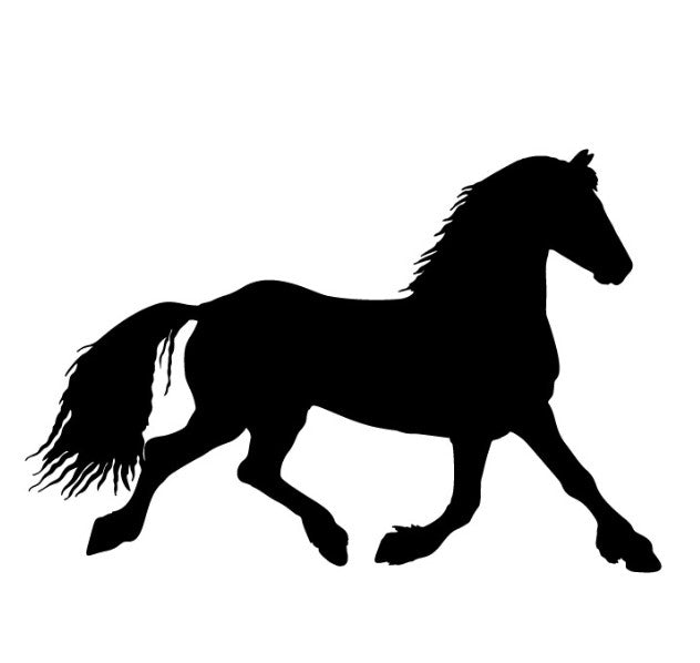 Horse 4