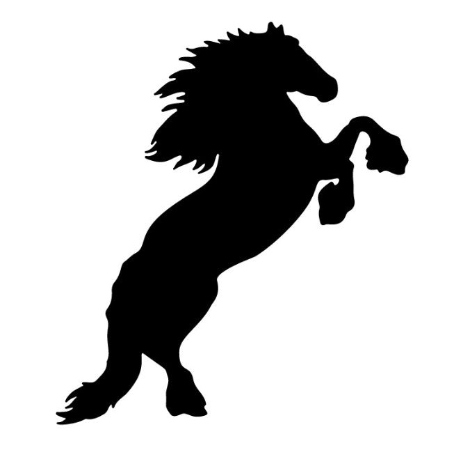 Horse 5