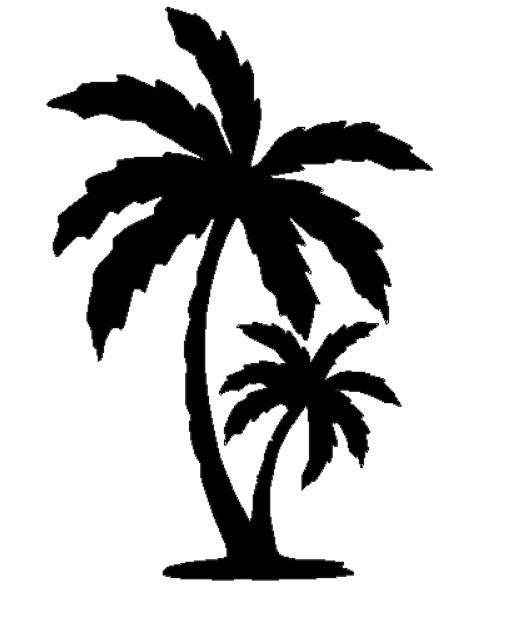 PALM TREE 2