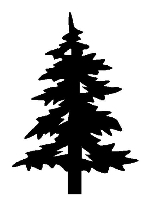 PINE TREE 2