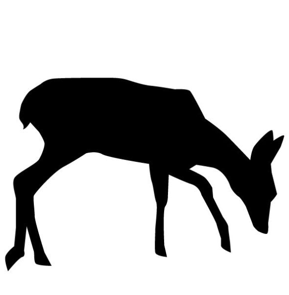 Deer 3