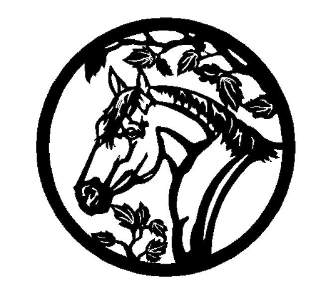 Horse 2